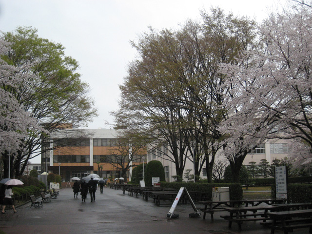 入学式2014