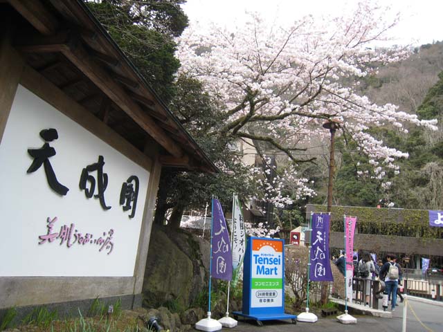 新入生オリエンテーション
