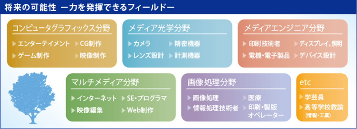 活躍できるフィールルド